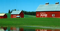 Farm